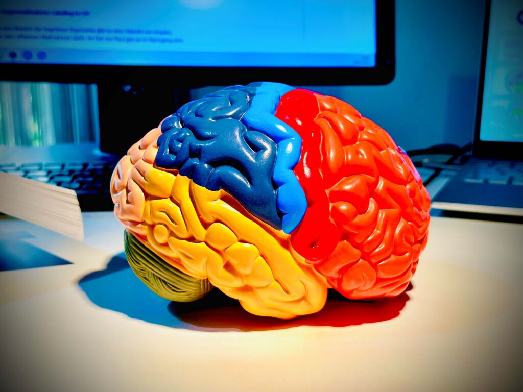 Ein Arbeitsplatz der gut fürs Gehirn ist