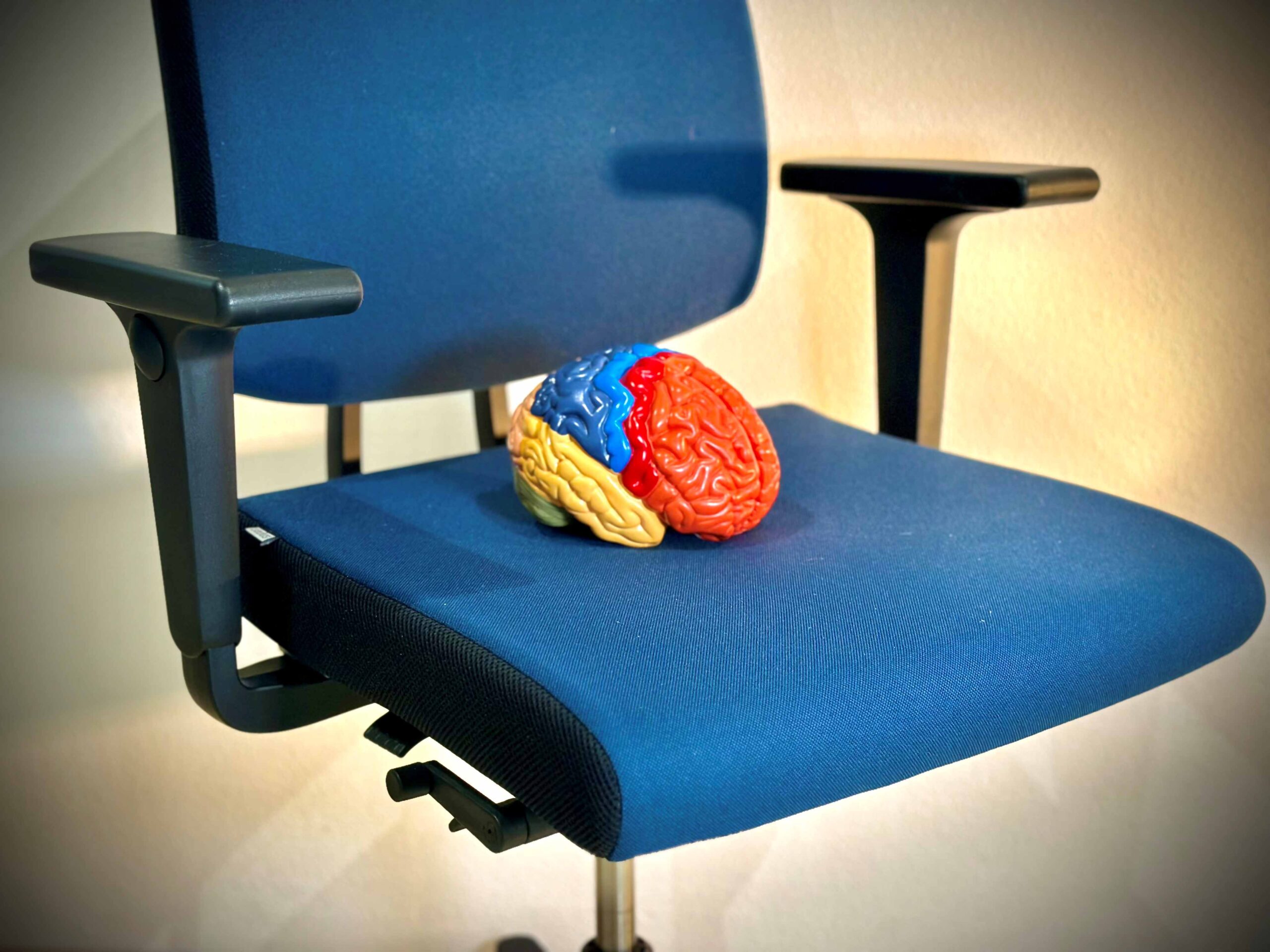 Ergonomie – ein Bürostuhl fürs Gehirn?