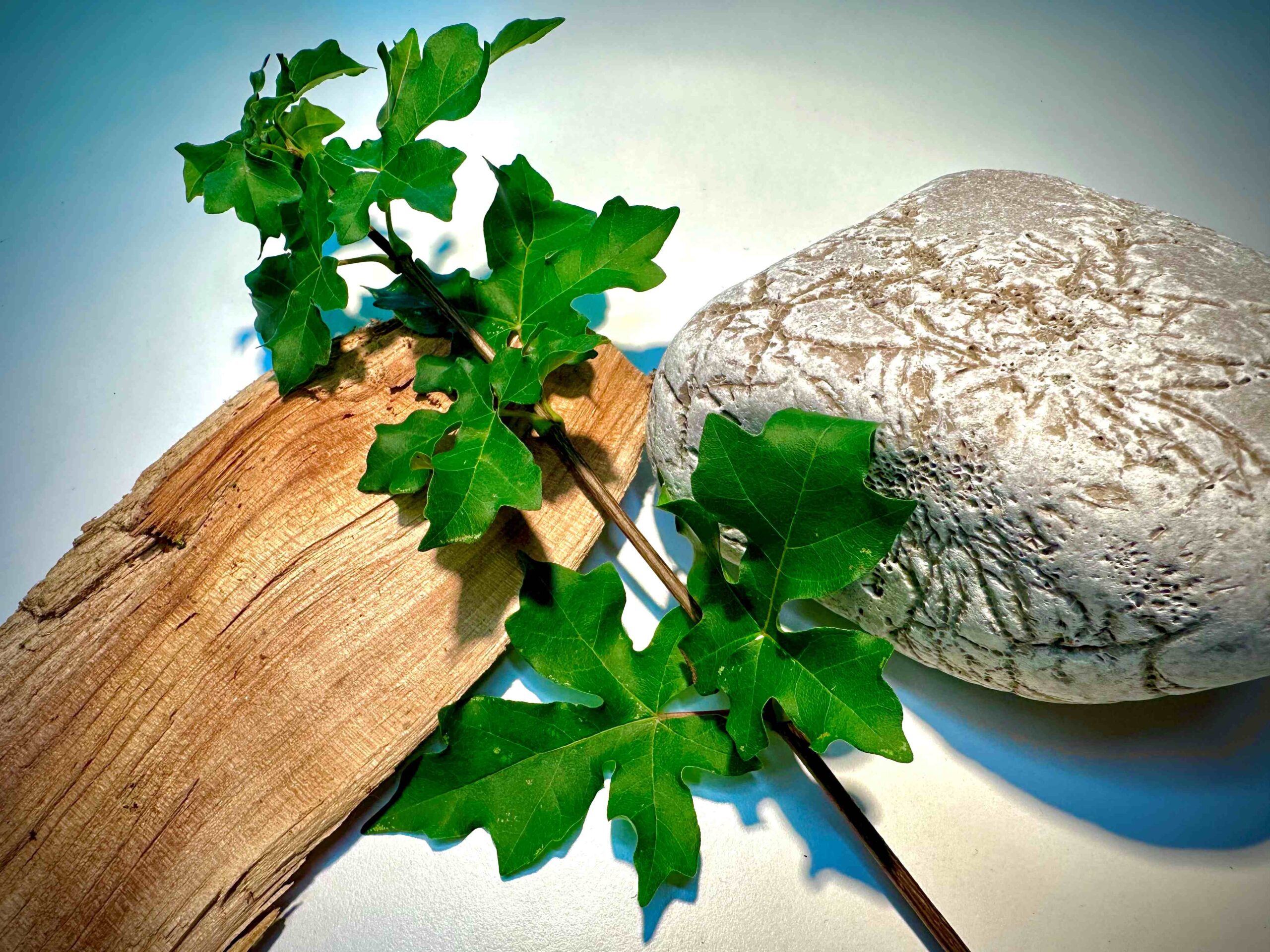 Denkräume gestalten